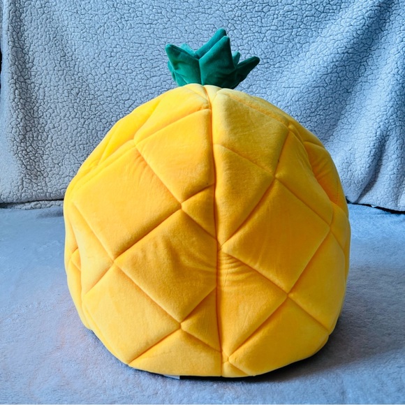 Pineapple Small Pet Bed (NWOT) - Picture 3 of 11